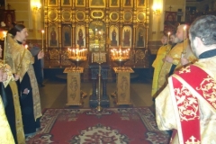 DSC03031