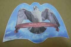 DSCN1229