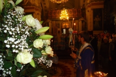 DSC04461