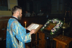 DSC00256