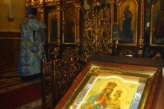 DSC00302