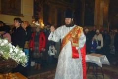 DSC05037
