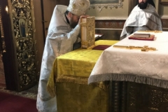 image-04