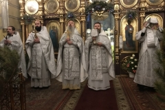 image-06
