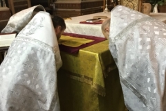 image-08