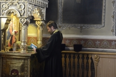 _DSC3789