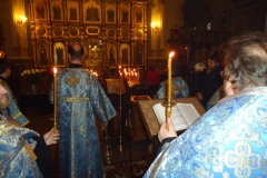 DSC05321