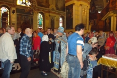 DSC03520