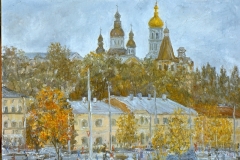 imd038