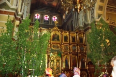 DSC01275